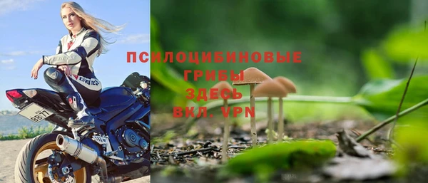 амф Богданович