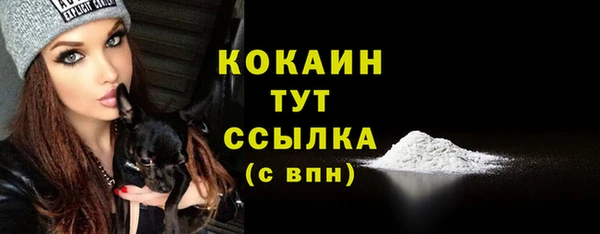 амф Богданович