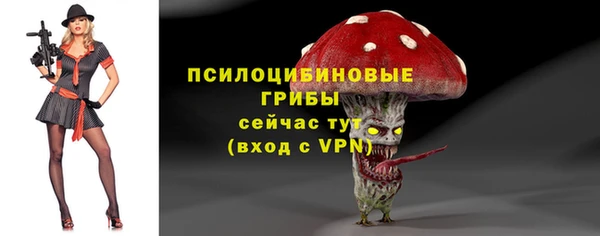 ALPHA-PVP Богородск
