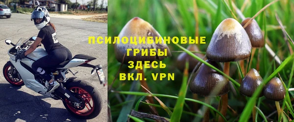 ALPHA-PVP Богородск