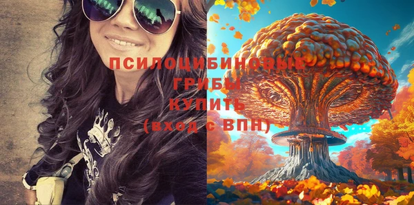 гашиш Богородицк