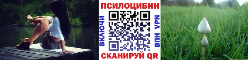 Псилоцибиновые грибы Magic Shrooms  Купить  Ливны 